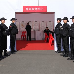 案例展示